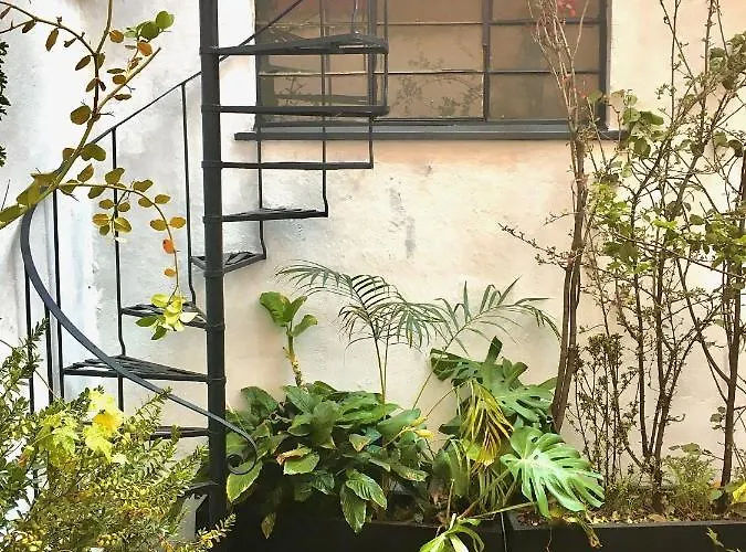 Indigo Homestay *